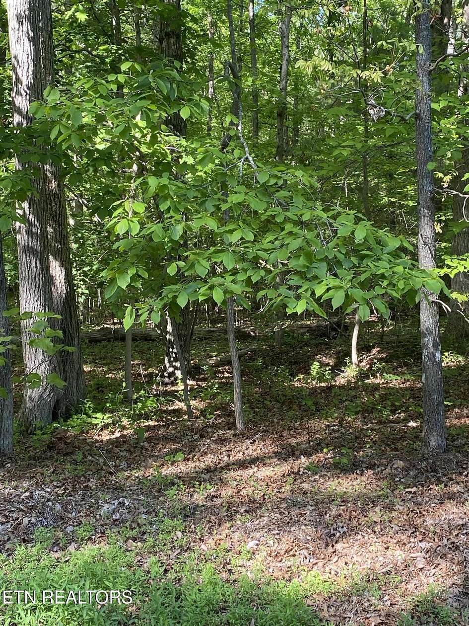 0.25 Acres of Land for Sale in Crossville, Tennessee