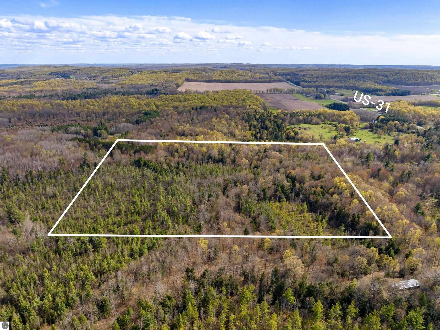 39.7 Acres of Recreational & Residential Land for Sale in Benzonia, Michigan