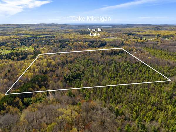 39.7 Acres of Recreational & Residential Land for Sale in Benzonia, Michigan