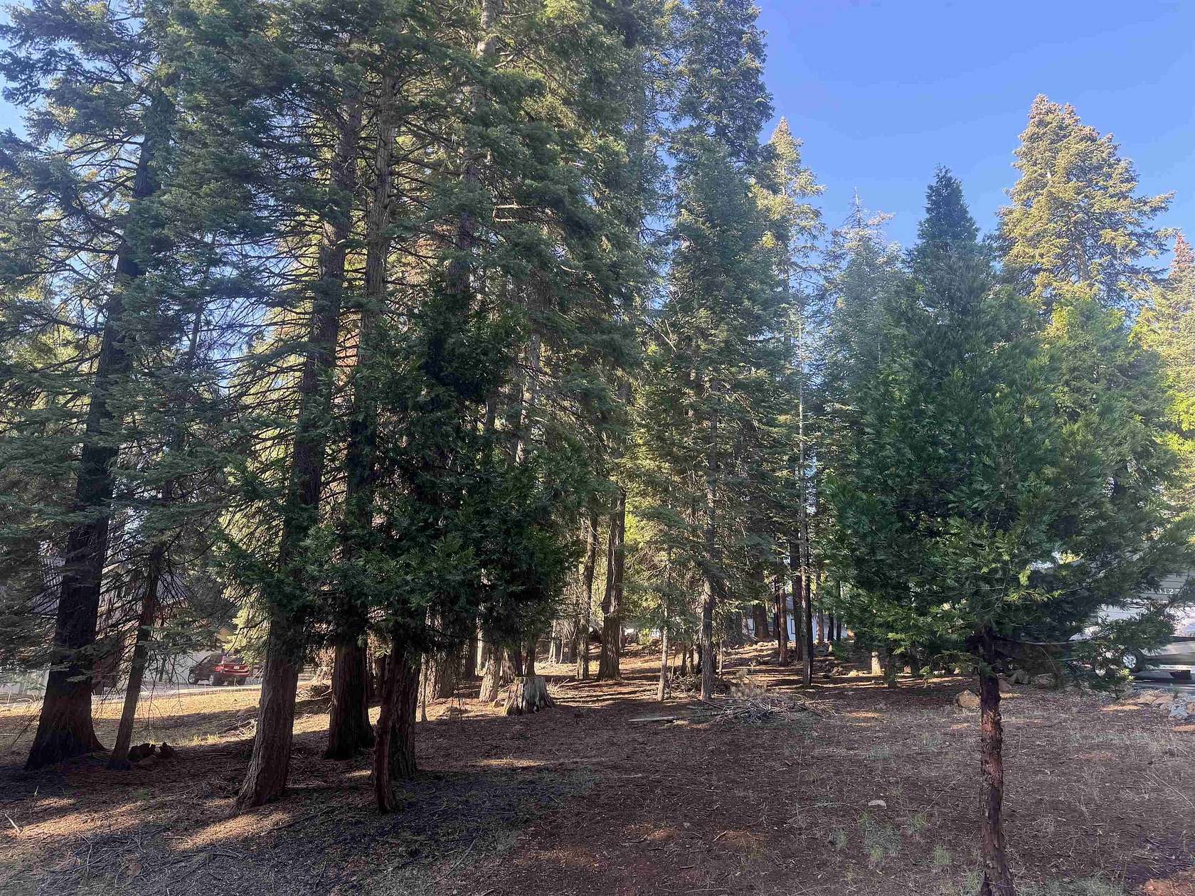 0.38 Acres of Land for Sale in Lake Almanor Country Club, California