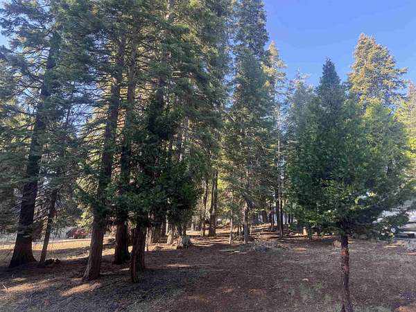 0.38 Acres of Land for Sale in Lake Almanor Country Club, California