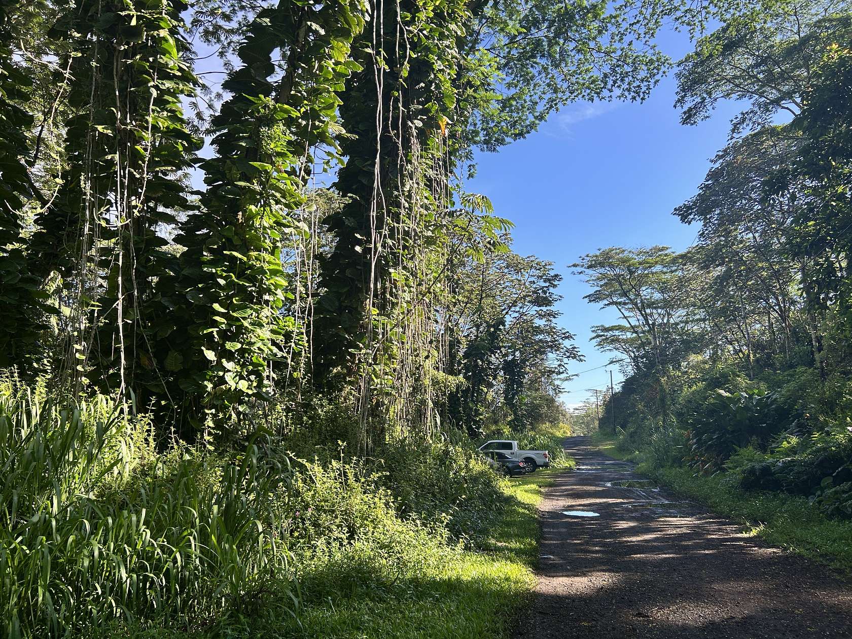 0.19 Acres of Residential Land for Sale in Pahoa, Hawaii