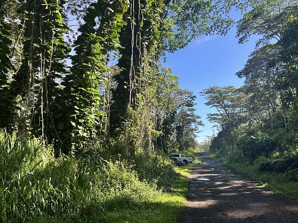 0.19 Acres of Residential Land for Sale in Pahoa, Hawaii