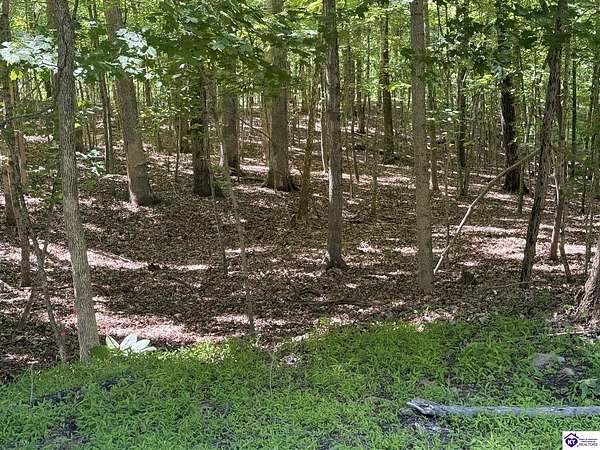 0.35 Acres of Residential Land for Sale in Brandenburg, Kentucky