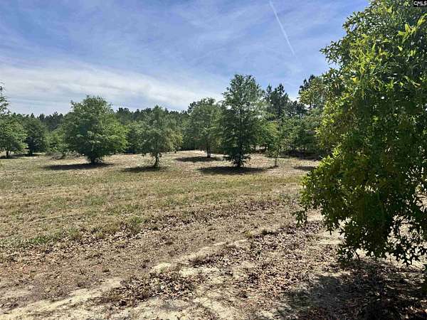 3 Acres of Residential Land for Sale in Cassatt, South Carolina