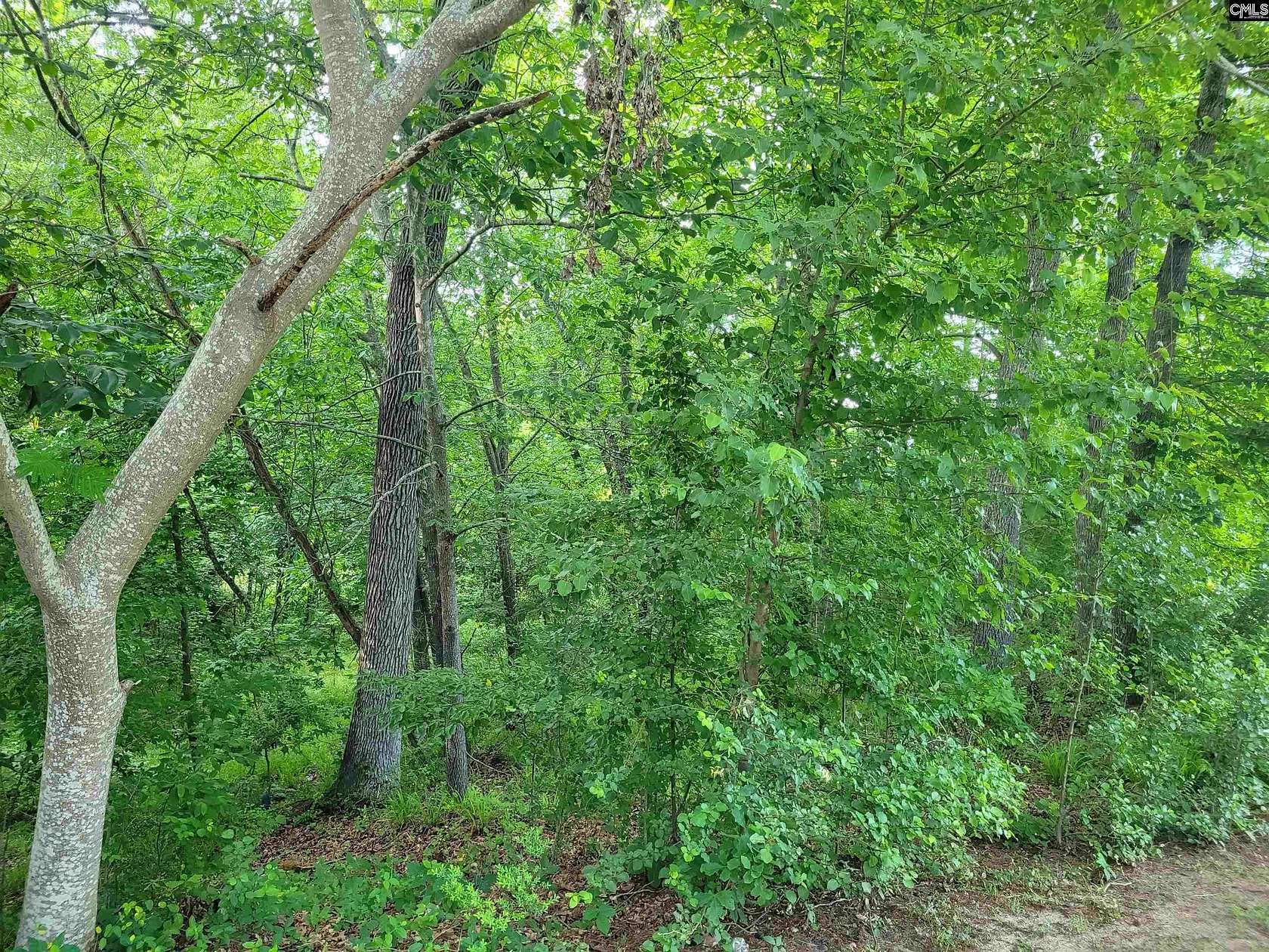 2.62 Acres of Residential Land for Sale in Columbia, South Carolina