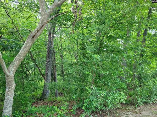 2.62 Acres of Residential Land for Sale in Columbia, South Carolina