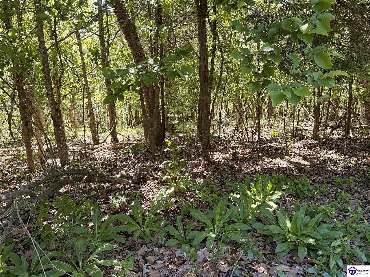0.25 Acres of Residential Land for Sale in Brandenburg, Kentucky