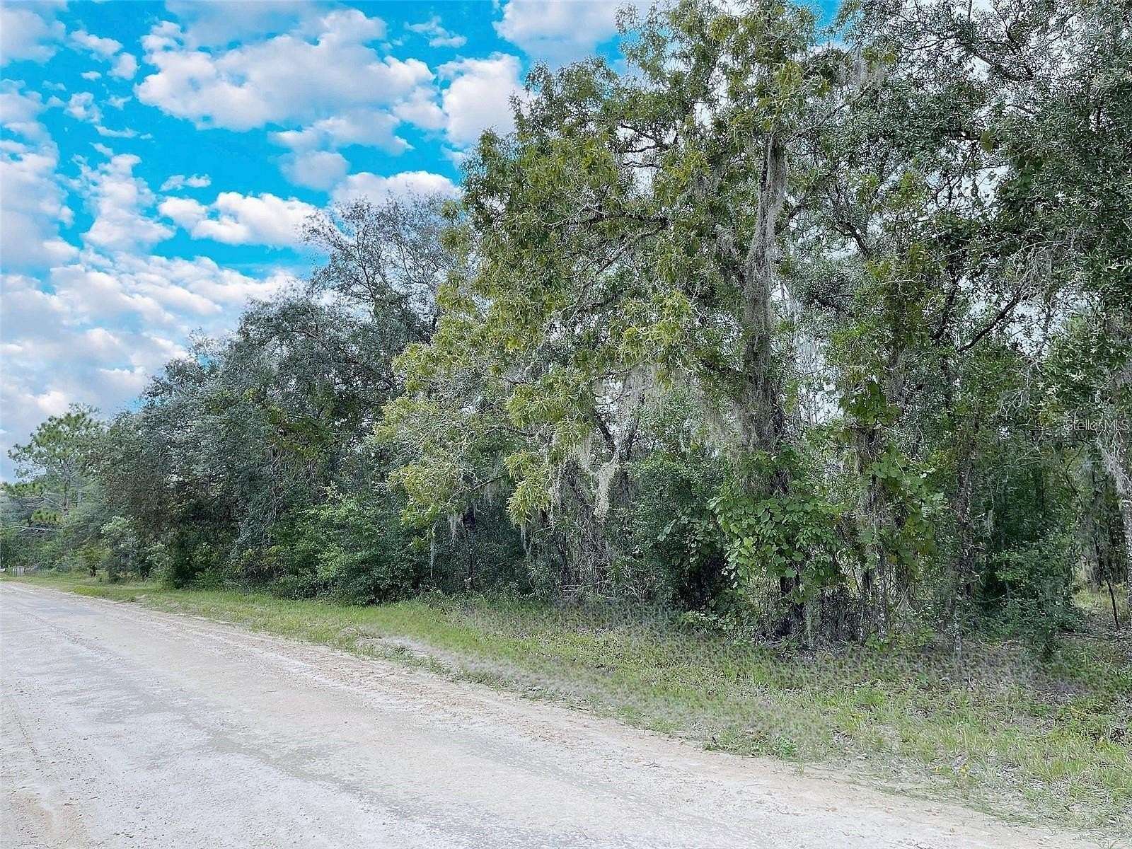 1.25 Acres of Residential Land for Sale in Williston, Florida