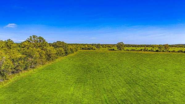 12.5 Acres of Recreational Land for Sale in Livingston, Texas