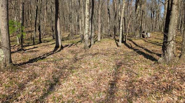 2 Acres of Land for Sale in Bitely, Michigan