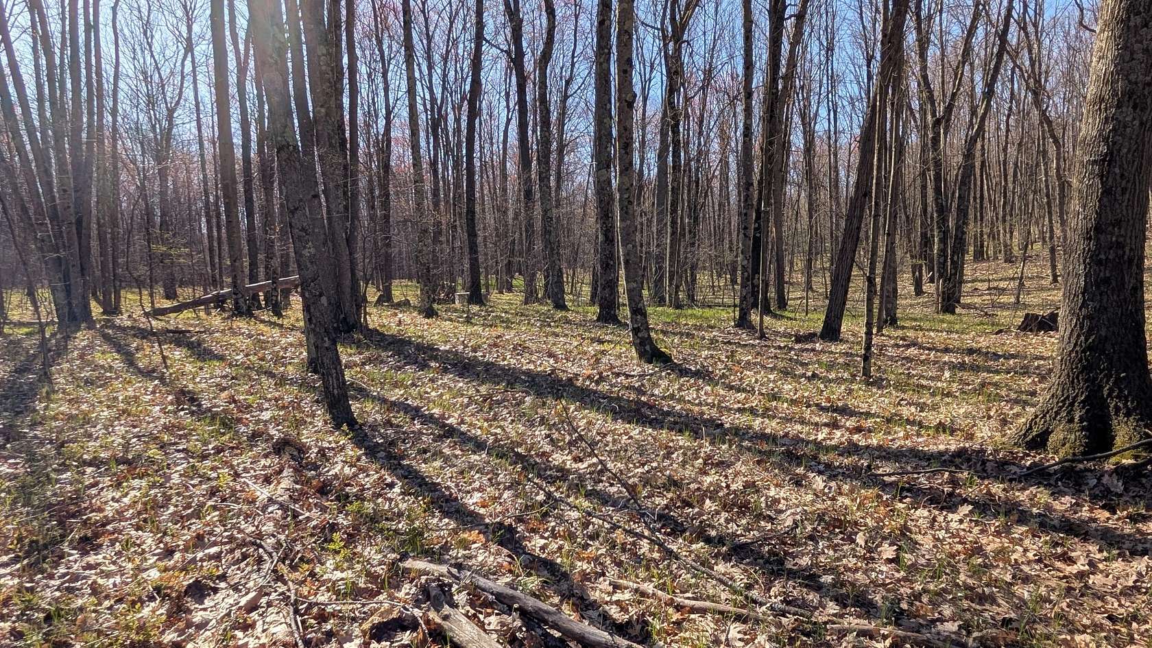 2 Acres of Land for Sale in Bitely, Michigan