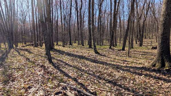 2 Acres of Land for Sale in Bitely, Michigan