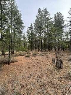 14.1 Acres of Recreational & Residential Land for Sale in Goldendale, Washington