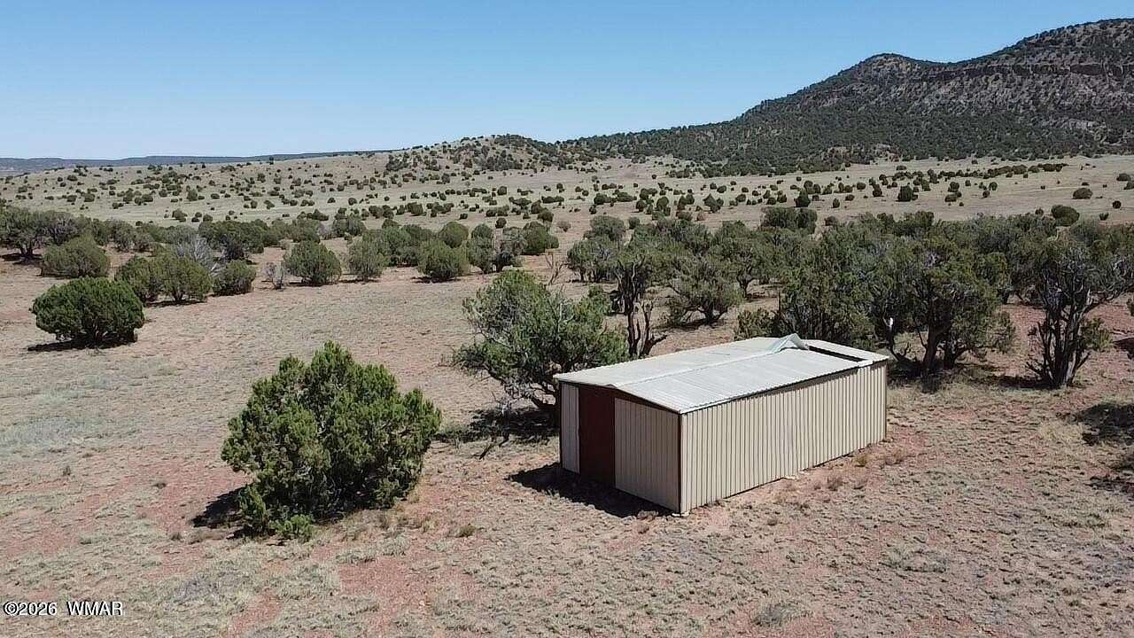37.4 Acres of Recreational & Residential Land for Sale in Concho, Arizona