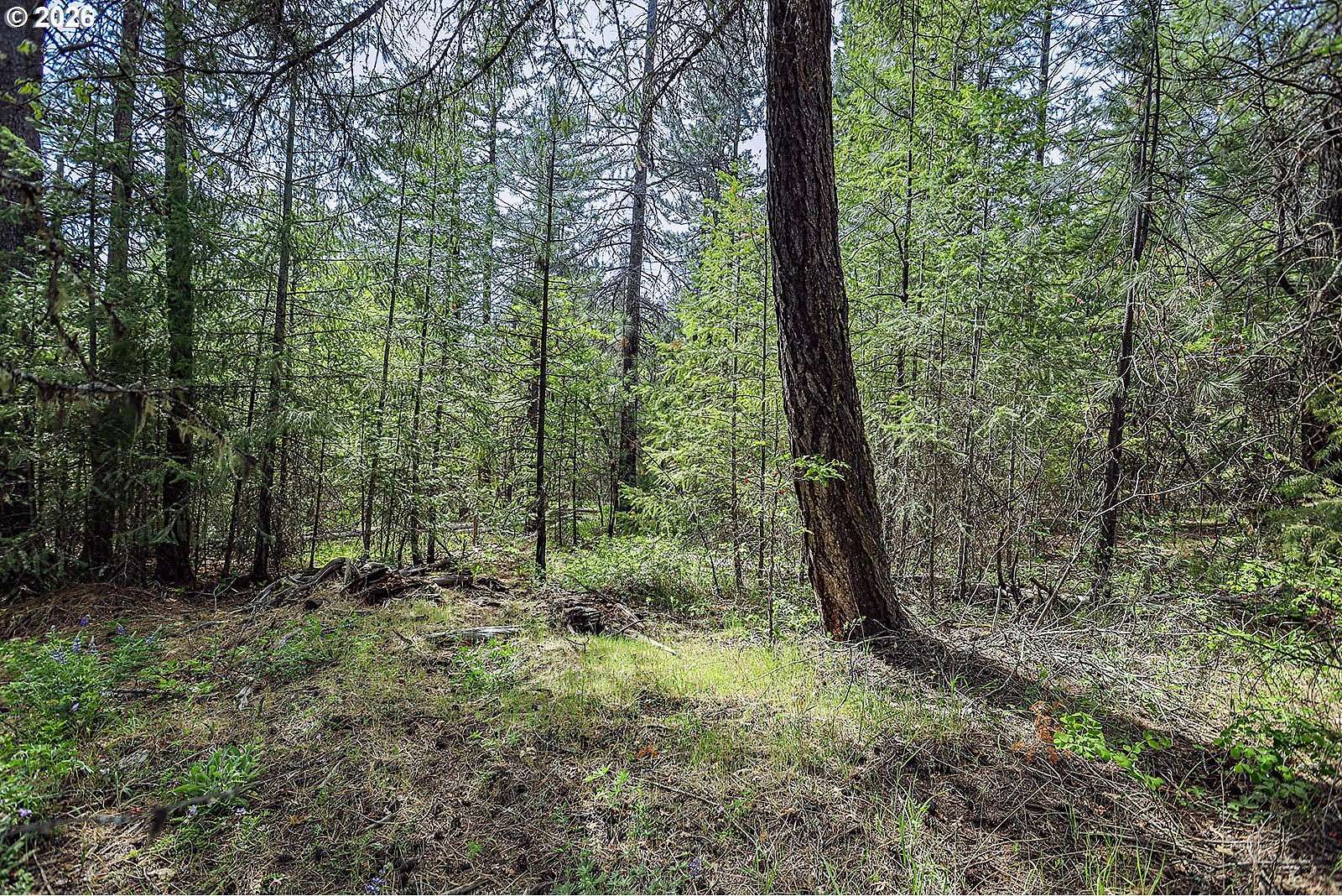 5 Acres of Residential Land for Sale in Goldendale, Washington