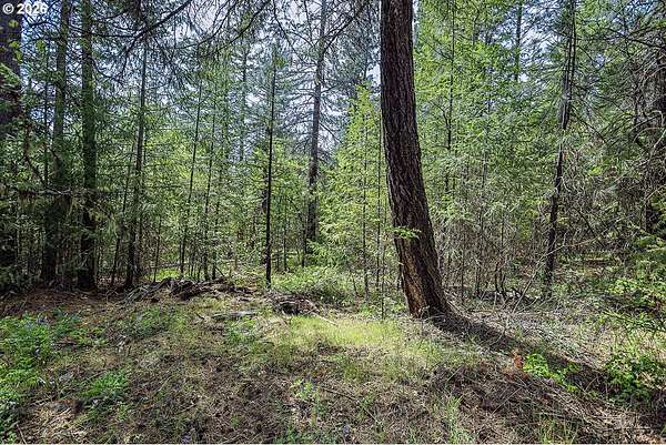 5 Acres of Residential Land for Sale in Goldendale, Washington