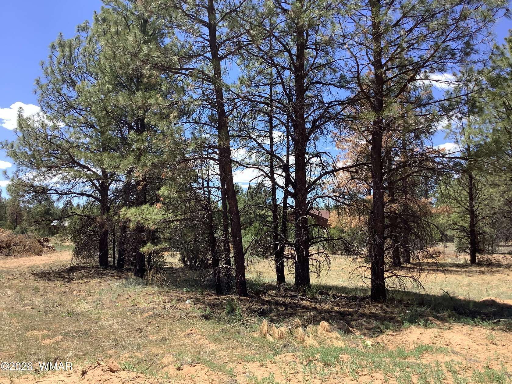 0.88 Acres of Residential Land for Sale in Overgaard, Arizona