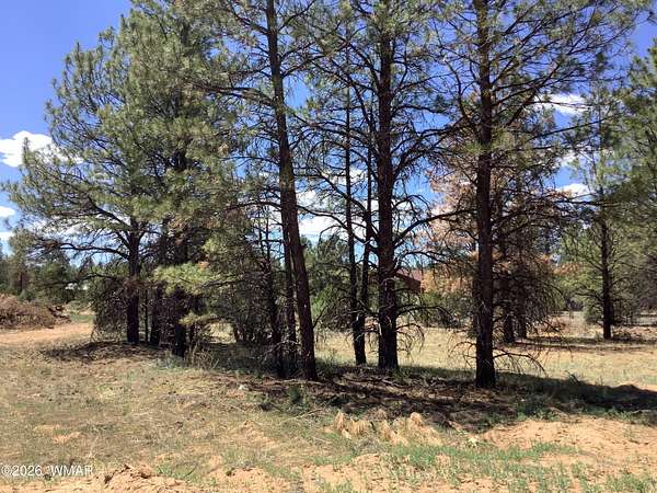 0.88 Acres of Residential Land for Sale in Overgaard, Arizona