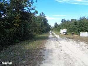 0.45 Acres of Residential Land for Sale in Altha, Florida