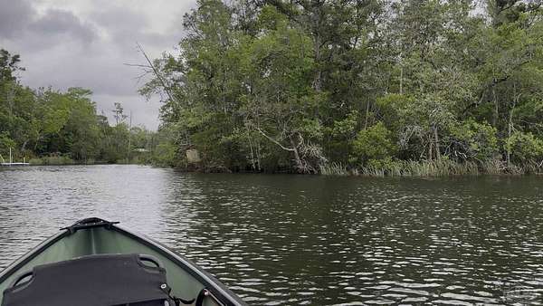 40.3 Acres of Recreational & Residential Land for Sale in Milton, Florida