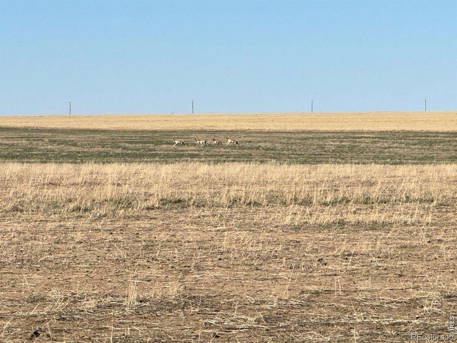 963 Acres of Agricultural Land for Sale in Arlington, Colorado