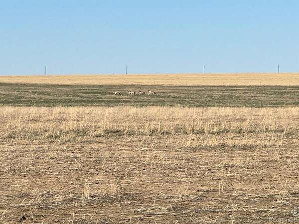 963 Acres of Agricultural Land for Sale in Arlington, Colorado