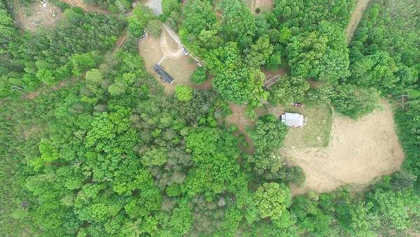 7 Acres of Land with Home for Sale in Green Bay, Virginia