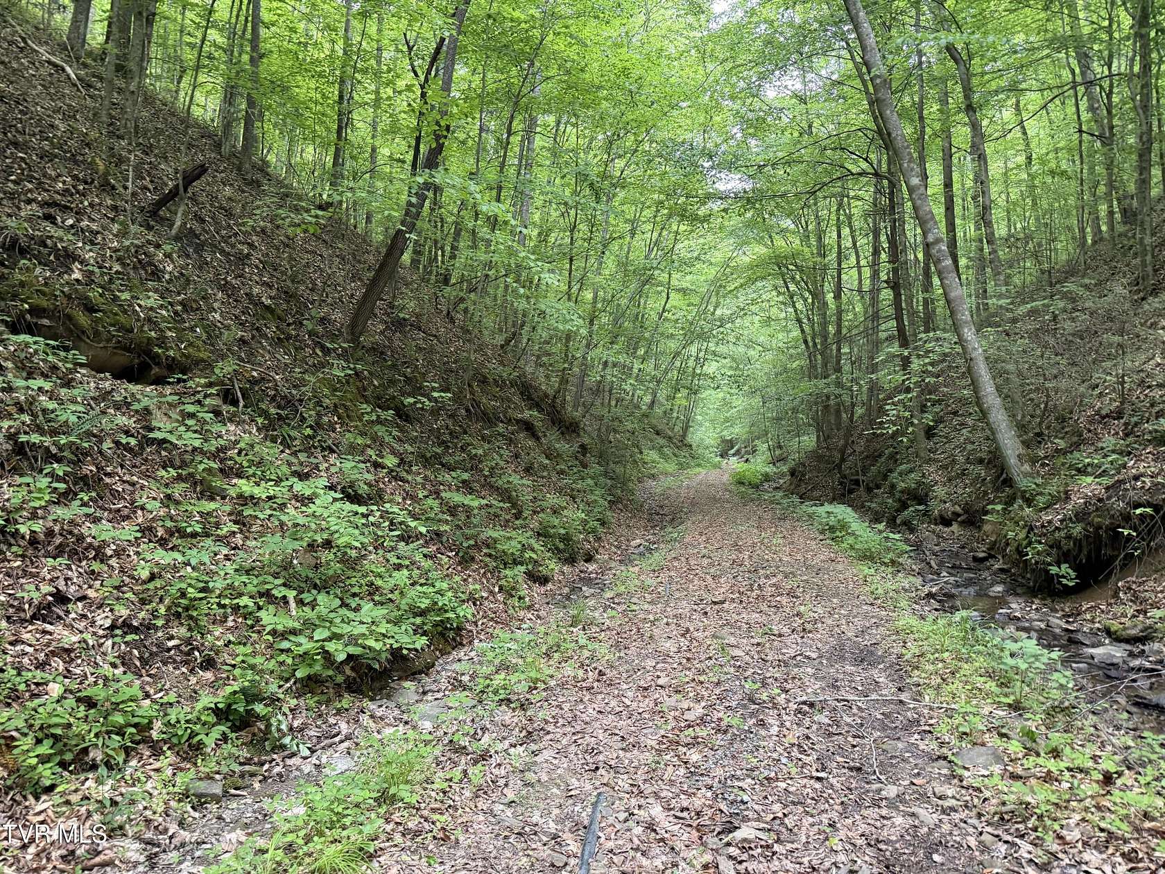 137 Acres of Recreational Land for Sale in Rogersville, Tennessee