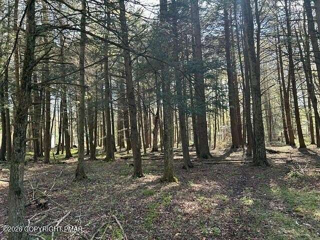 0.45 Acres of Residential Land for Sale in Pocono Lake, Pennsylvania