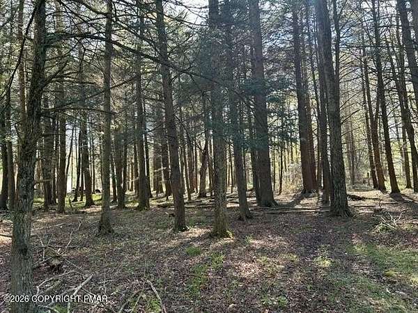 0.45 Acres of Residential Land for Sale in Pocono Lake, Pennsylvania