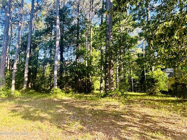0.3 Acres of Residential Land for Sale in Wallace, North Carolina