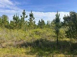 0.5 Acres of Land for Sale in Indian Lake Estates, Florida