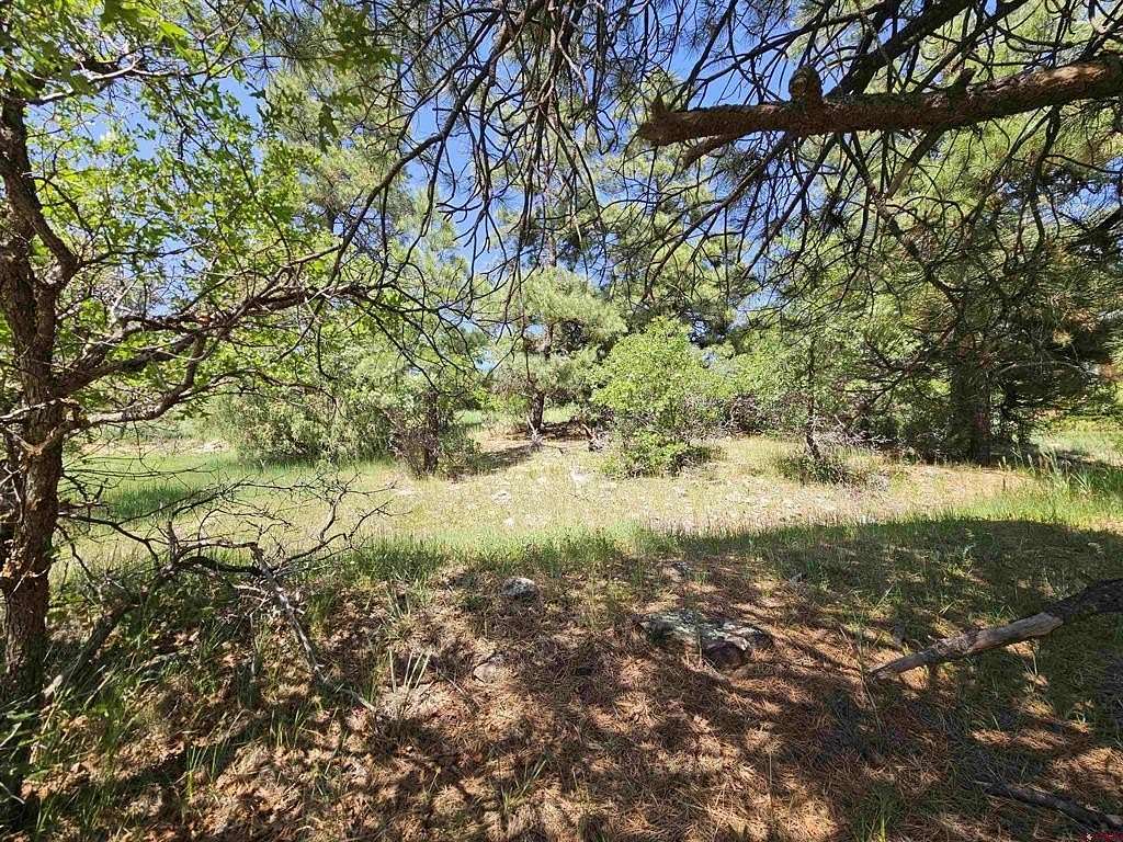 0.47 Acres of Residential Land for Sale in Pagosa Springs, Colorado