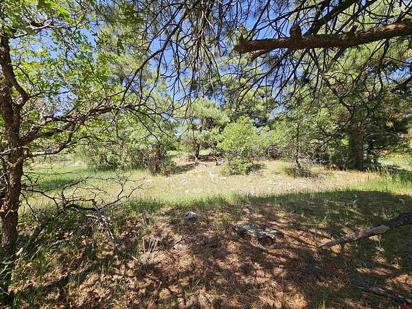 0.47 Acres of Land for Sale in Pagosa Springs, Colorado