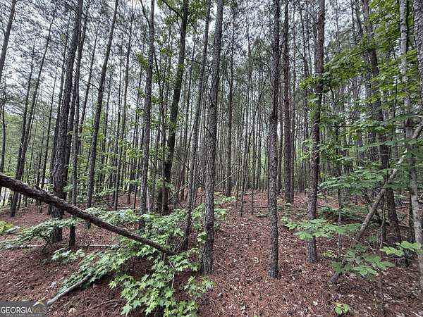 1 Acre of Residential Land for Sale in Rome, Georgia