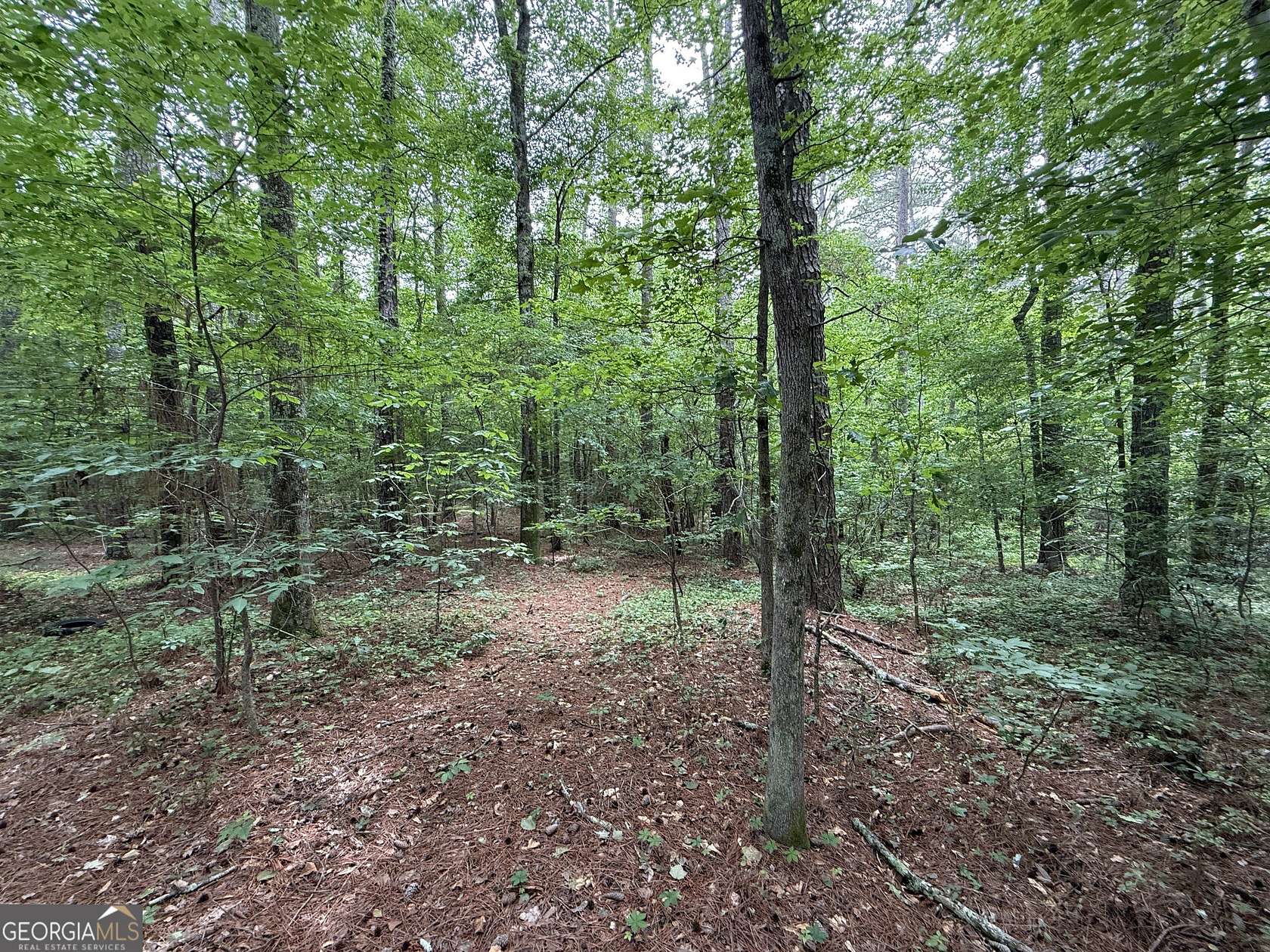 2.36 Acres of Residential Land for Sale in Rome, Georgia