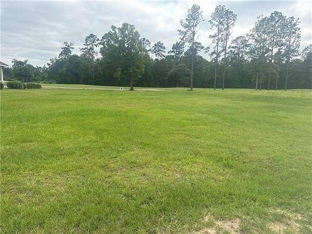 0.29 Acres of Residential Land for Sale in Springfield, Louisiana