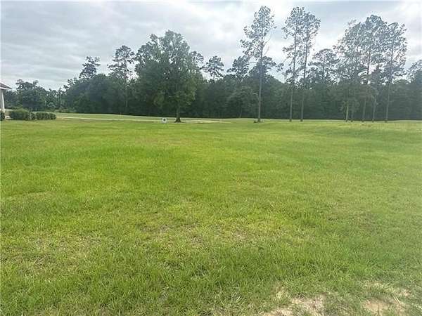 0.29 Acres of Residential Land for Sale in Springfield, Louisiana