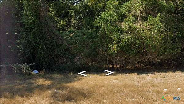 0.16 Acres of Commercial Land for Sale in Gonzales, Texas