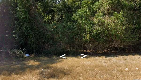 0.16 Acres of Mixed-Use Land for Sale in Gonzales, Texas