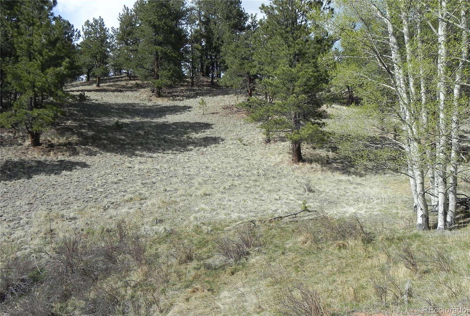 1.38 Acres of Residential Land for Sale in Cripple Creek, Colorado