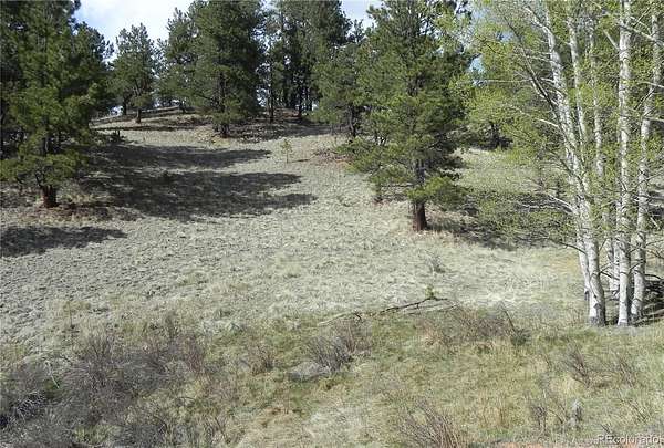 1.38 Acres of Residential Land for Sale in Cripple Creek, Colorado