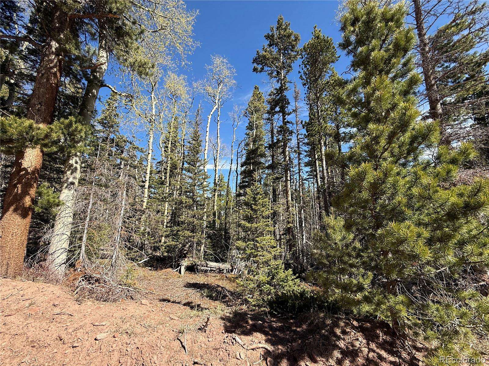 2.1 Acres of Residential Land for Sale in Fort Garland, Colorado