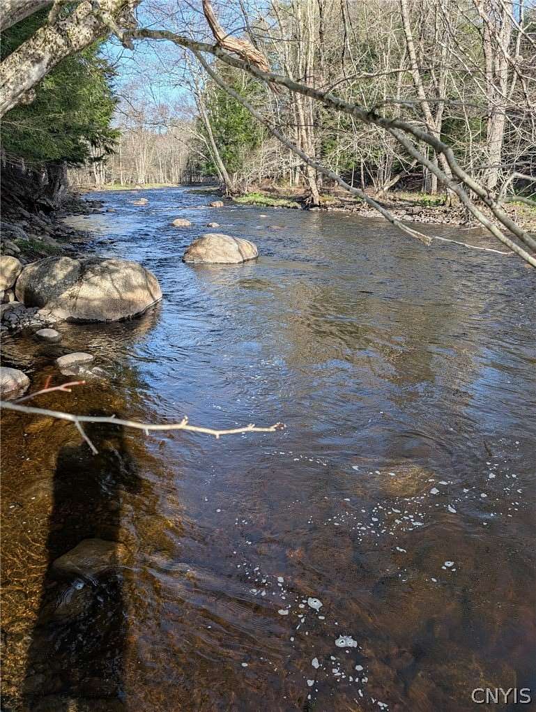 29.2 Acres of Land for Sale in Dolgeville, New York