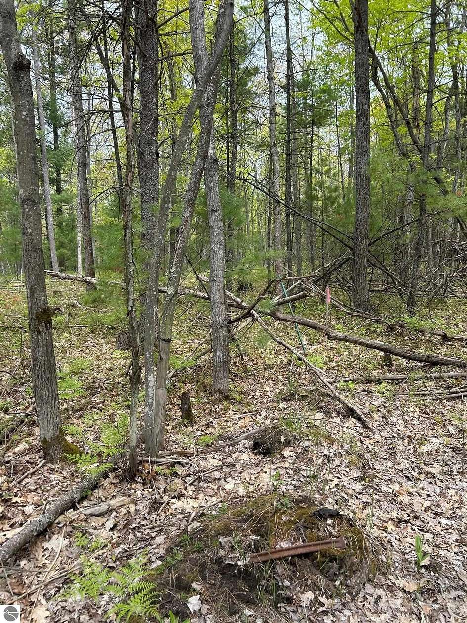 5 Acres of Land for Sale in Traverse City, Michigan