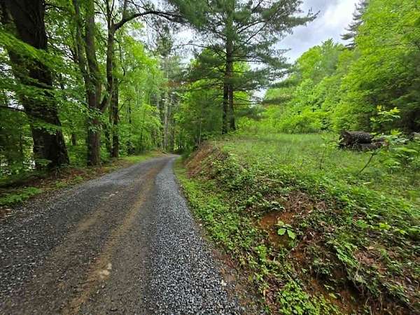 24.2 Acres of Recreational Land for Sale in Damascus, Virginia