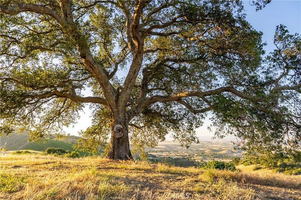 122 Acres of Agricultural & Residential Land for Sale in Paso Robles, California