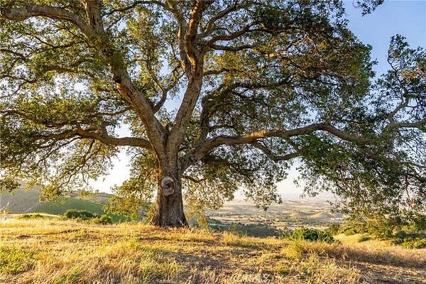 122 Acres of Agricultural & Residential Land for Sale in Paso Robles, California