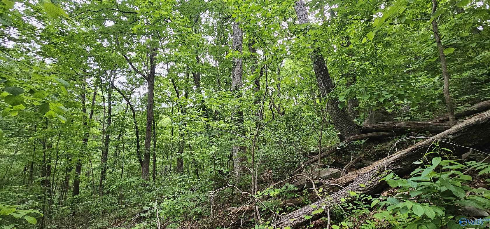 6 Acres of Land for Sale in Scottsboro, Alabama